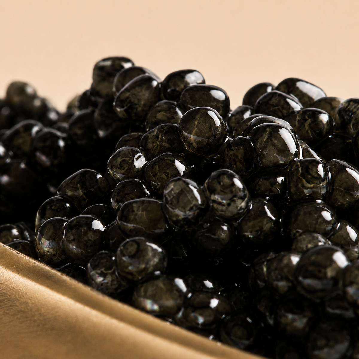 Midas Black Pearl