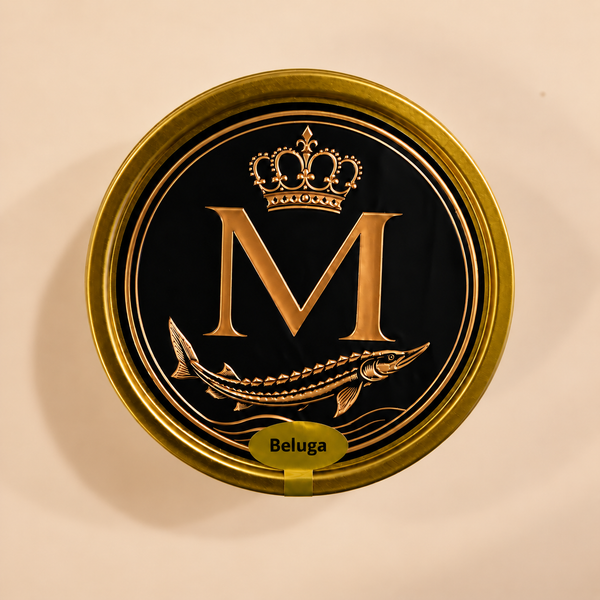 Midas Beluga